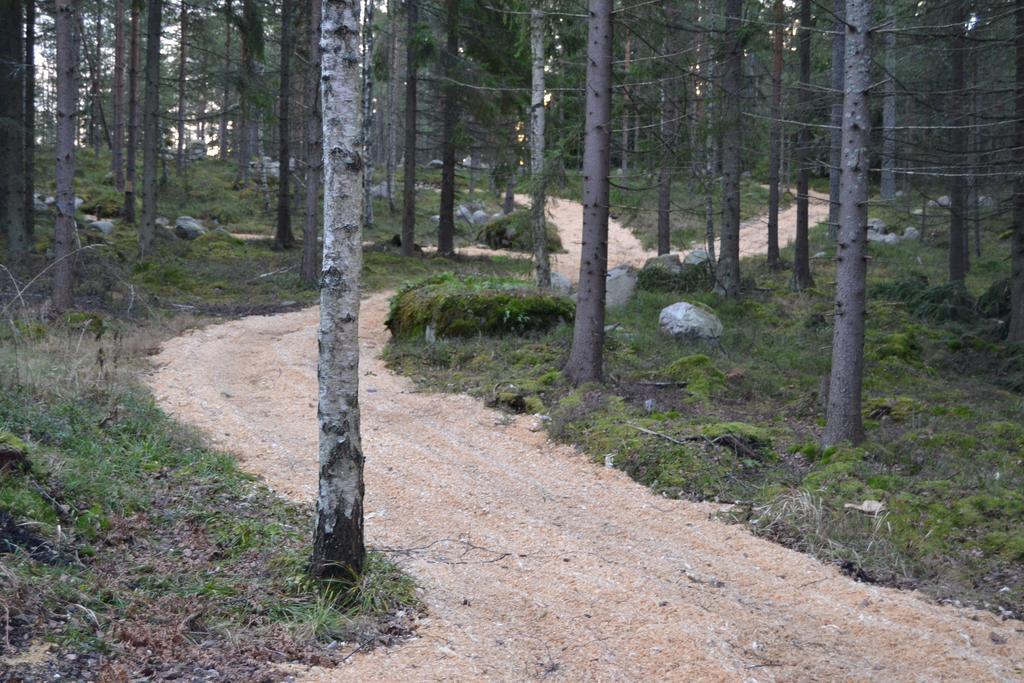 Villa Linnunlaulu Loparo Eksteriør bilde
